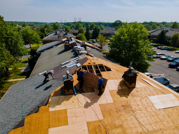 Quick and Trustworthy Emergency Roof Repair Services in South St Paul, MN